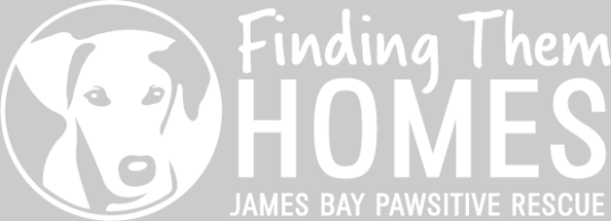 This image is by Splash ON.