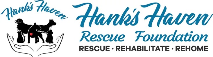 This image is by Splash ON.